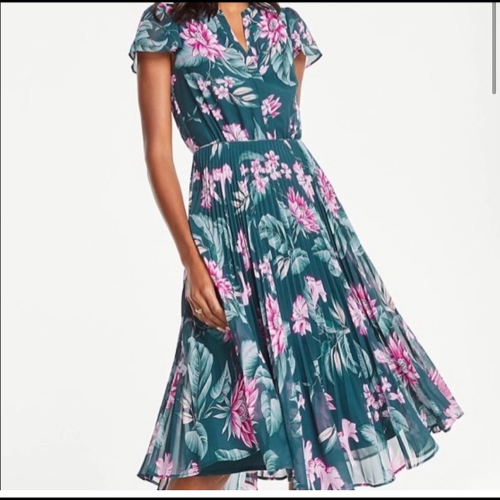 Ann Taylor Floral Dress